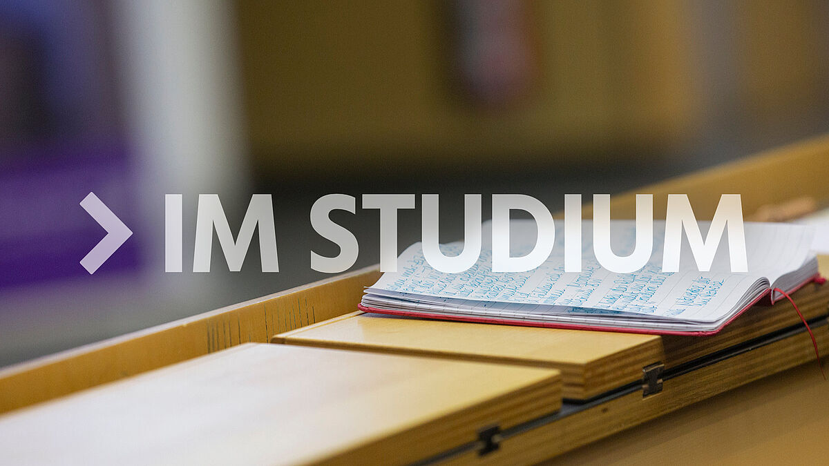 Studienorganisation
